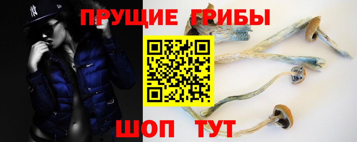 Псилоцибиновые грибы Psilocybe  Вход с VPN  что такое   Рыбинск 