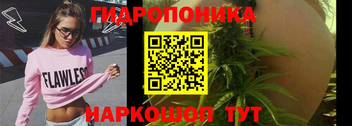 Рыбинск  Бошки Шишки гибрид  МАРИХУАНА тримм  Конопля план  Вход с VPN 